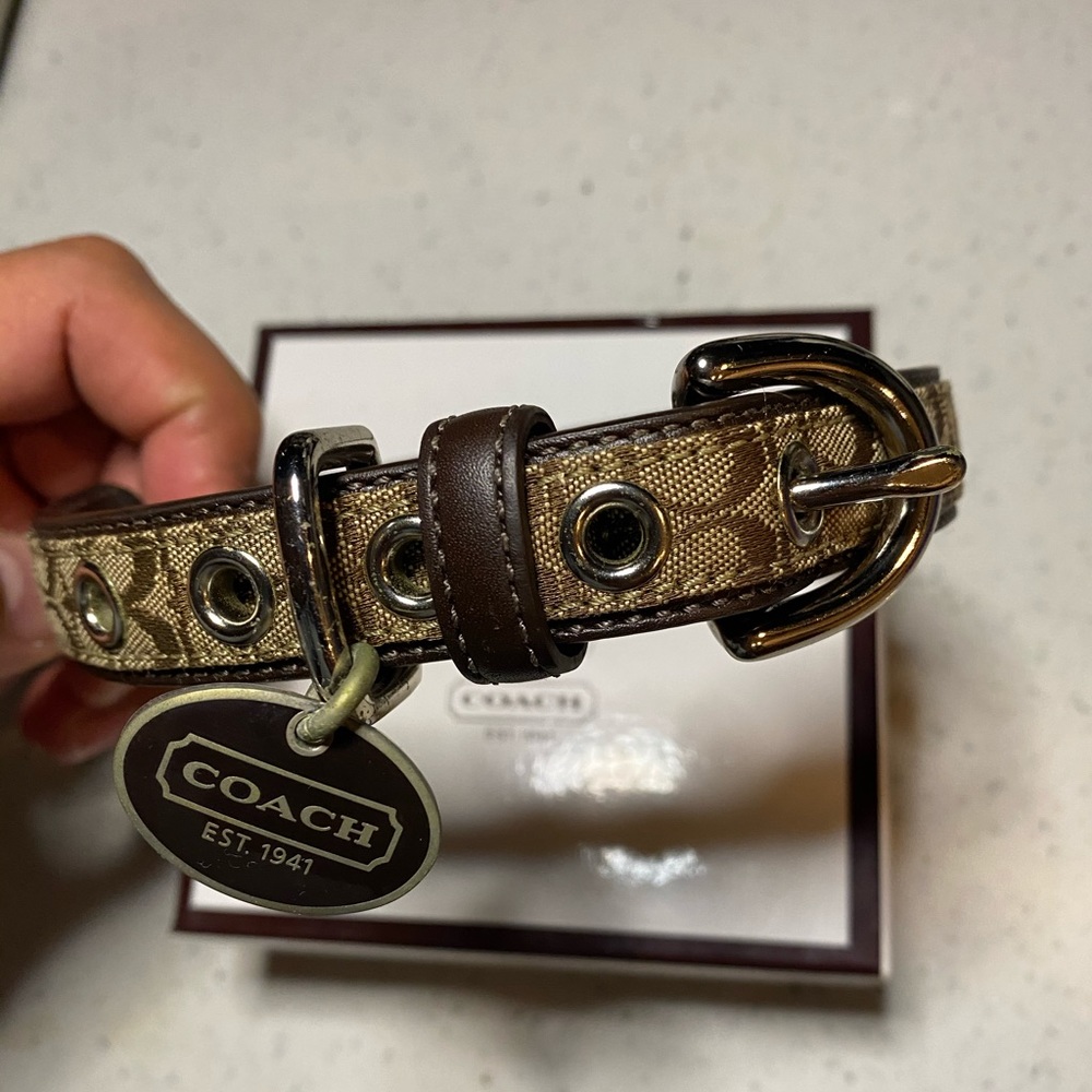Coach Dog Collar